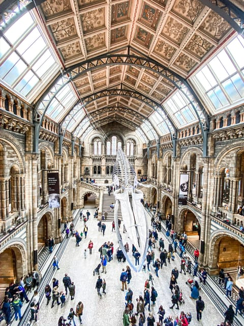 London: Natural History Museum Guided Tour - Key Highlights You Actually Get To See