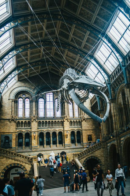 London: Natural History Museum Guided Tour - Why This Natural History Museum Route Feels Smarter Than Wandering