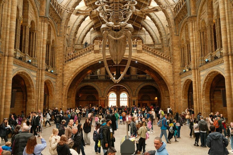 London: Natural History Museum Guided Tour - The Dodo Skeleton: Up Close With Extinction’s Human Lesson