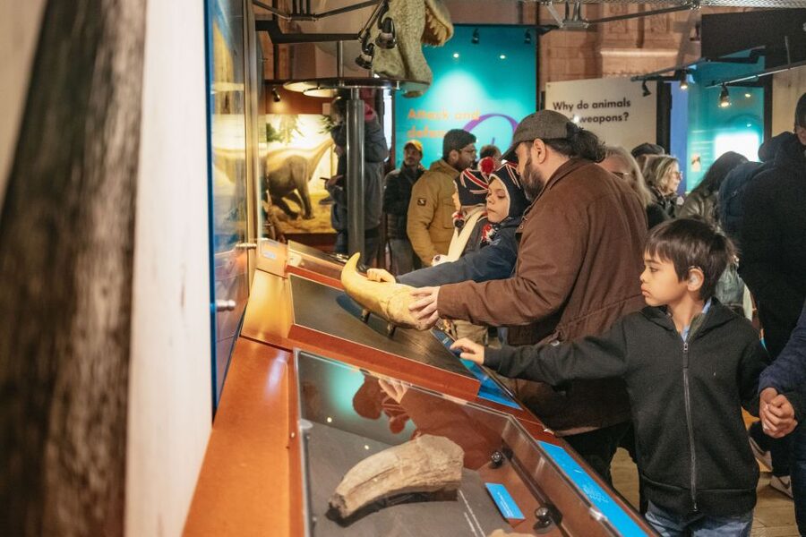 London: Natural History Museum Private Guided Family Tour - Why this museum tour fits families better than a self-guided day