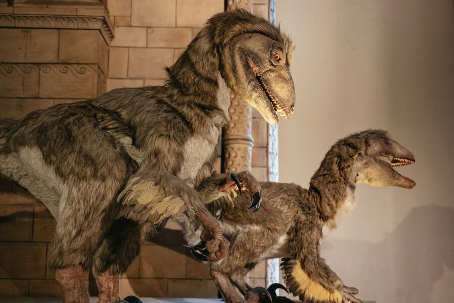 London: Natural History Museum Private Guided Family Tour - The 2-hour flow: how the tour keeps you moving without rushing