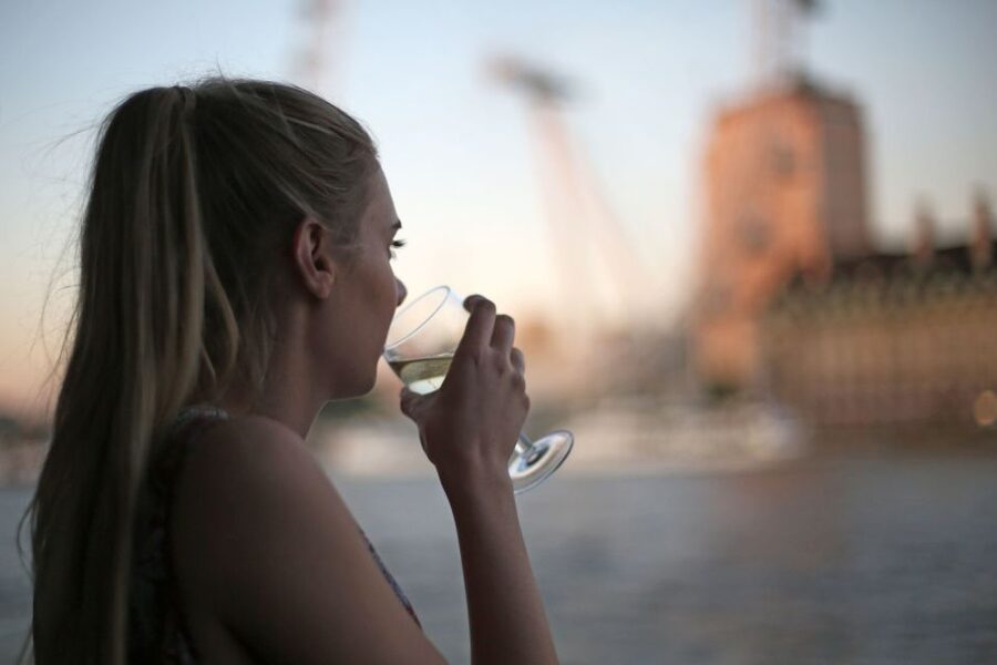 London: River Thames Evening Cruise with Bubbly and Canapés - Price and Value: Is $37 a Good Deal Here?