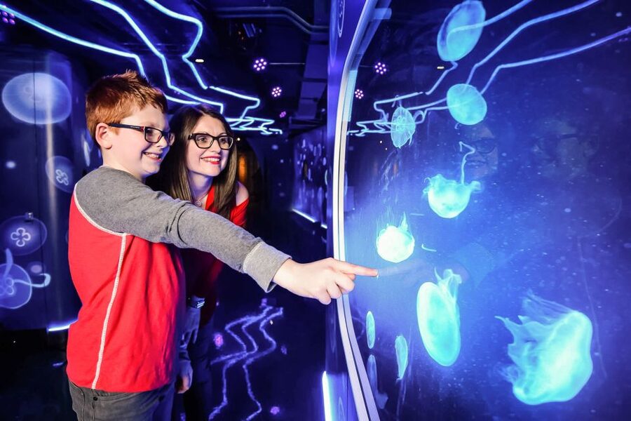 London: SEA LIFE Entry Ticket - Rainforest Adventure With Ranger Andy: Tarantulas, Ants, Crocs, and Piranhas