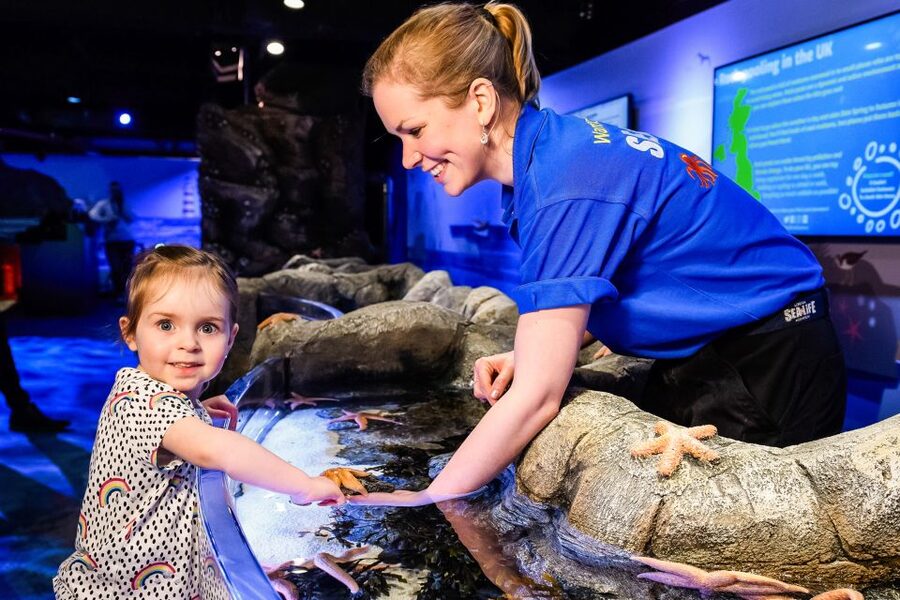 London: SEA LIFE Entry Ticket - Your Best First Stop: Tropical Ocean Walk-Under Zones