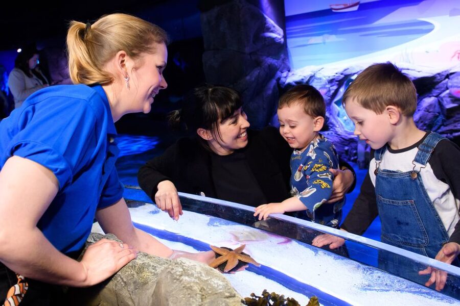 London: SEA LIFE & London Eye Combo Ticket - Who this is for, and who should skip or adjust