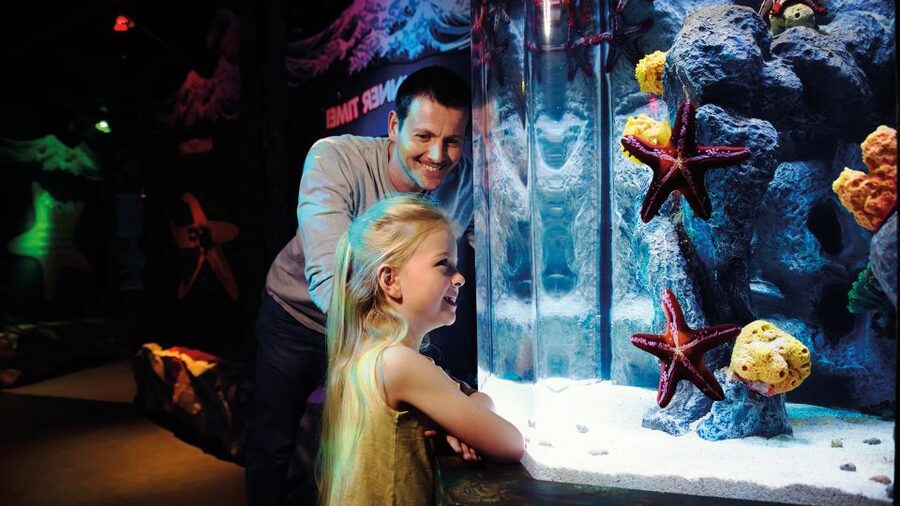 London: SEA LIFE & London Eye Combo Ticket - Practical tips that make the day smoother