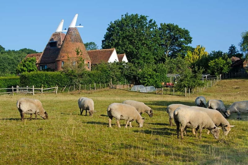 London: Small Group Canterbury, Dover & Kent Villages Tour - Price and Value, Plus the Entrance Fees to Budget