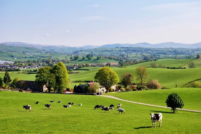 London: Small Group Canterbury, Dover & Kent Villages Tour - Should You Book It? My Practical Take
