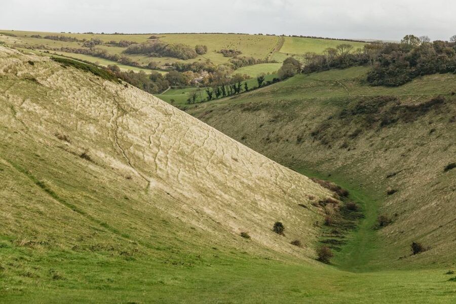 London: South Downs White Cliffs Day Trip with Train Tickets - Why This South Downs Day Trip Feels Like the Real South Coast