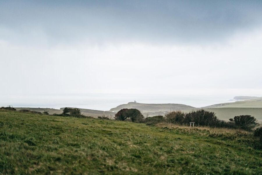 London: South Downs White Cliffs Day Trip with Train Tickets - Middle Farm Stop: Lunch Options and Sussex Flavor on a Schedule