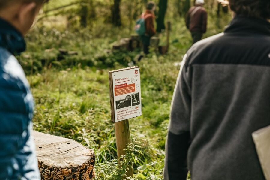 London: South Downs White Cliffs Day Trip with Train Tickets - Price and Value: What You’re Really Paying For