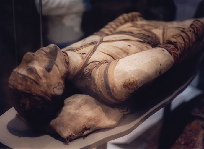 London: Tour of the British Museum - Should you book this British Museum tour?