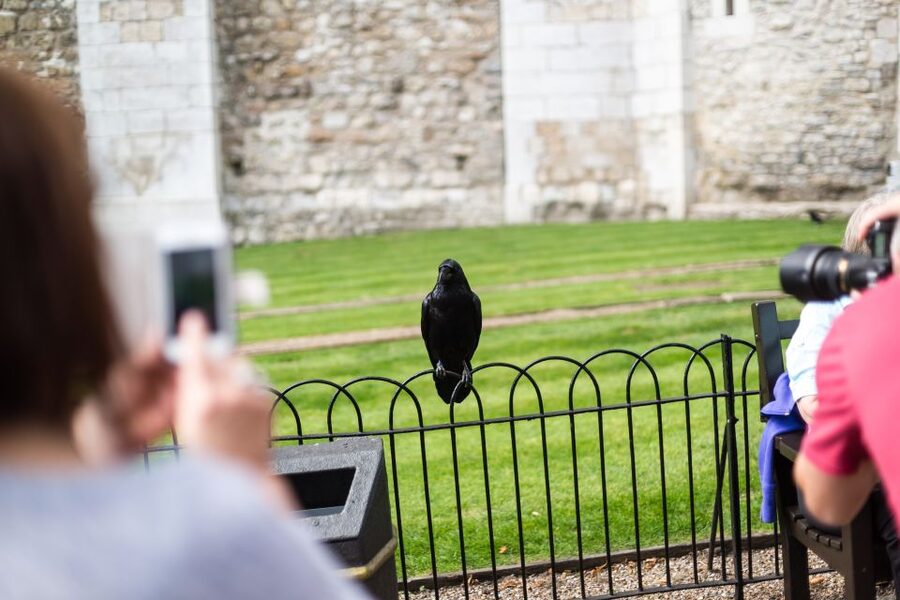 London: Tower of London Tour with Crown Jewels & Beefeaters - Your Yeoman Warder Moment: The 15-Minute Beefeater Meet and Greet