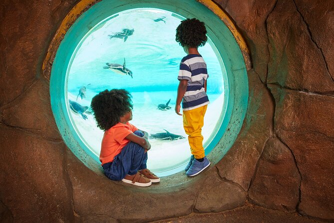 London Zoo: Entry Ticket - Tiny Giants and the Coral Reef Tank: Small Creatures, Big Interest