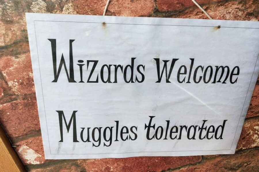 Oxford: Christ Church Harry Potter Film Locations Tour - Gowns, quizzes, and why the tour keeps families from losing focus