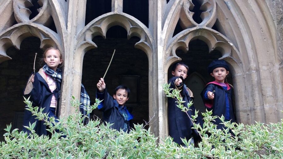 Oxford: Harry Potter Insights Divinity School Group Tour - Best For Who