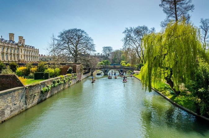 Private Cambridge Punting Tour - Kings College Chapel and the Senate House Pass-By: The Big Opening