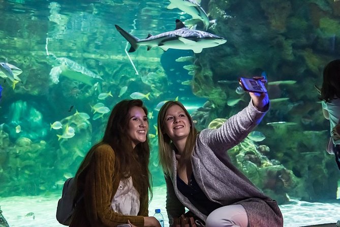 SEA LIFE Brighton Admission Ticket - Prebooked SEA LIFE Brighton tickets, what you get for $21.94