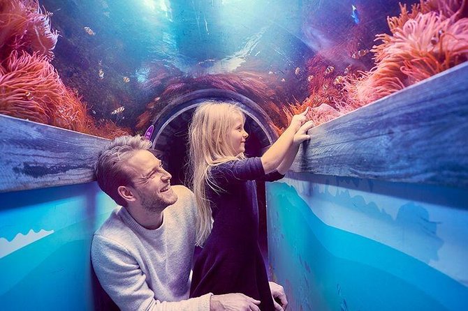 SEA LIFE Brighton Admission Ticket - Secrets of the Reef and the Maldives: coral hope inside a Brighton aquarium