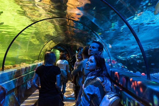 SEA LIFE Brighton Admission Ticket - What to plan for in a 2-hour, self-paced visit