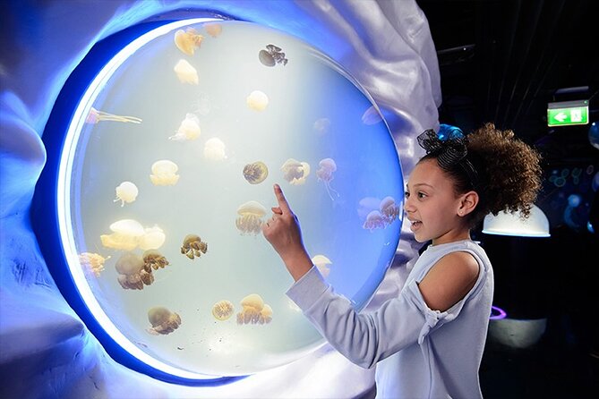 SEA LIFE London Aquarium Admission Ticket - Key highlights worth knowing before you go
