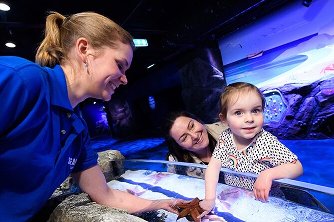 SEA LIFE London Aquarium Admission Ticket - Inside the 3-story aquarium, how to see everything in about 2 hours