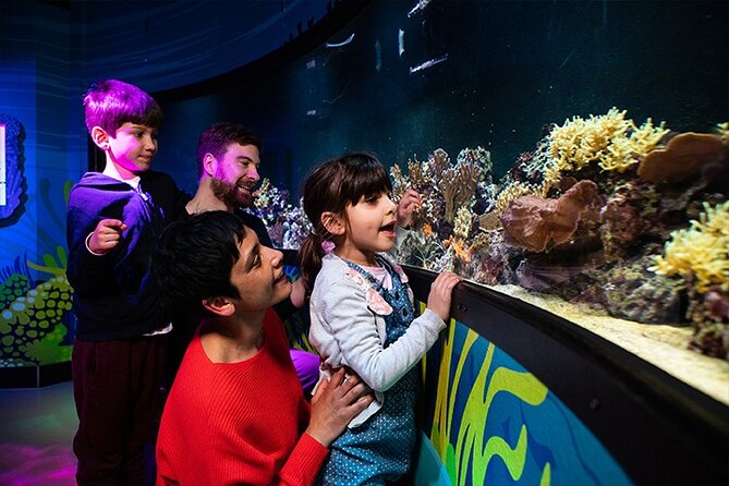 SEA LIFE London Aquarium Admission Ticket - Atlantic Ocean to Pacific Zone: where the route turns darker and louder