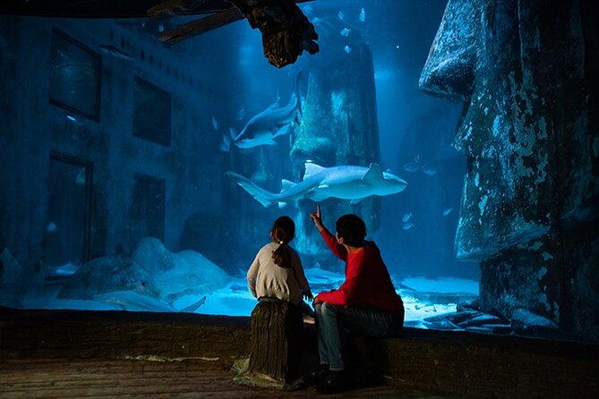 SEA LIFE London Aquarium Admission Ticket - Rainforest Adventure with 360 views: for spooky-curious kids