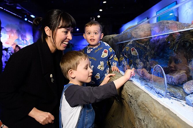 SEA LIFE London Aquarium Admission Ticket - Submarine elevator to the Atlantic glass tunnel: the best warm-up