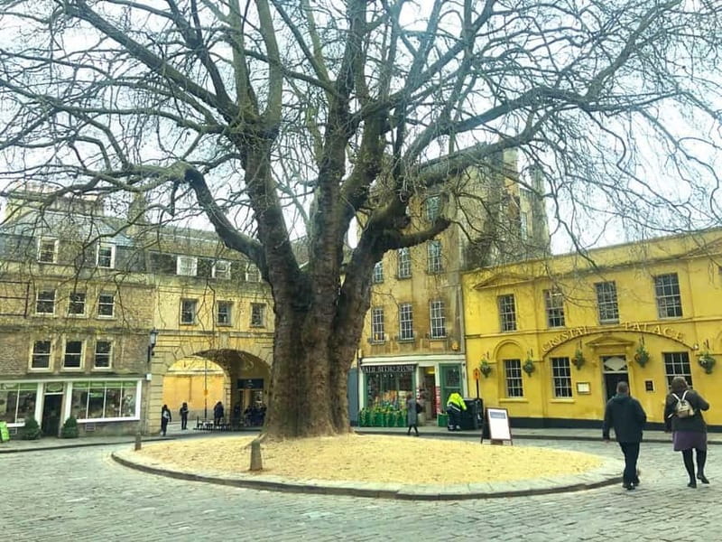 Stonehenge, Bath, Windsor and Roman Baths London Day Tours - Should you book?