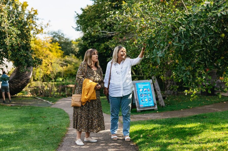 Stratford-upon-Avon: Anne Hathaway's Cottage Entry ticket - The Tudor-to-Shakespeare story, told across 13 generations