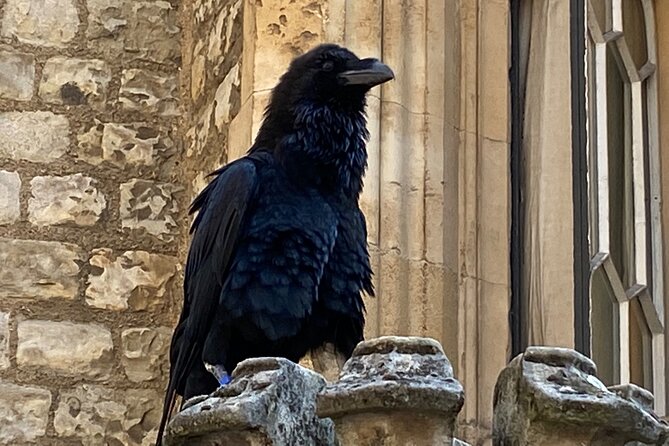 The Tower of London - Small Group Tour with a Local Expert - Crown Jewels and coronation regalia: your attention needs a plan